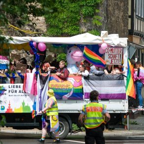 Wagen mit Pride-Besucher*innen fährt durch Wernigerode. Es ist bunt, aber weniger bunt als in den letzten Jahren, weil die Bedrohungslage größer ist.